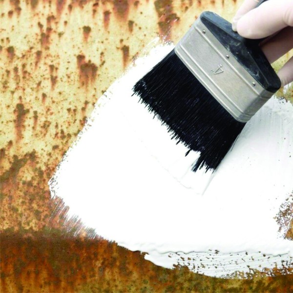 Amorsa Antimucegai, Zinsser 1-2-3 Plus,  10 Litri