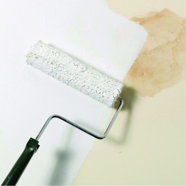 Amorsa Antimucegai, Zinsser 1-2-3 Plus,  10 Litri