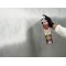 Amorsa, Spray, Zinsser Bin Turbo, 750ml